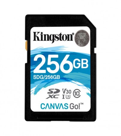 Kingston 256GB Canvas Go! UHS-I SDXC Memory Card (SDG/256GB)